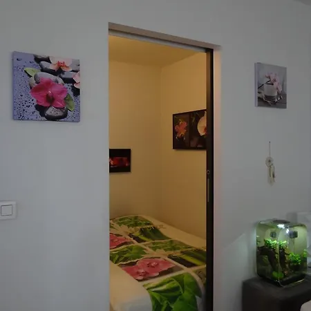 Cannes Festivals Vacances Studio 28M2 Le Surcouf